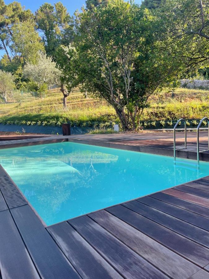 Bed and Breakfast A14 Pietrasanta La Dama Del Bosco Exterior foto